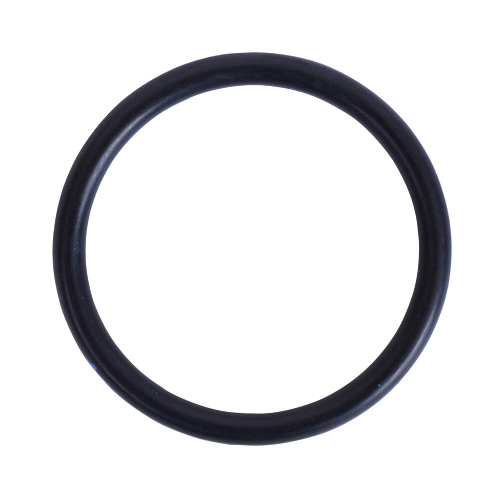 O-Ring 1" 213506-1