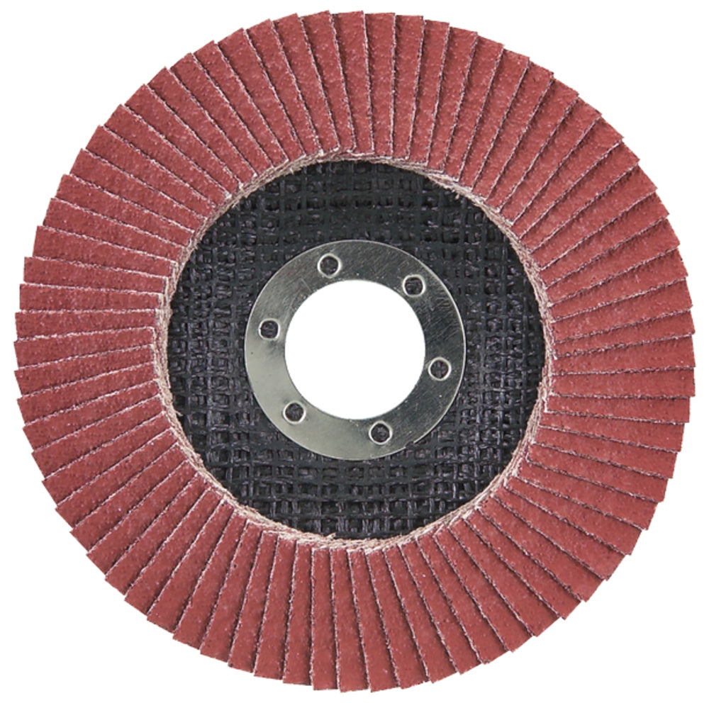 D-28519 Fächerscheibe