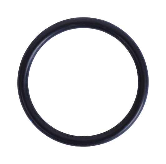 213506-1 O-Ring 1"