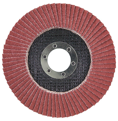 D-28519 Fächerscheibe