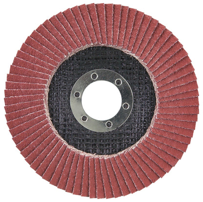 D-28519 Fächerscheibe