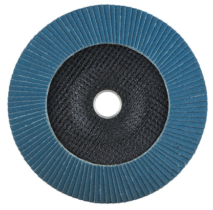 D-63856 Fächerscheibe