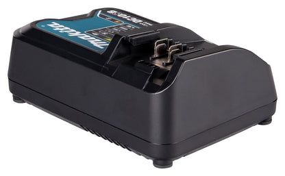 197363-4 Schnellladegerät DC10SB