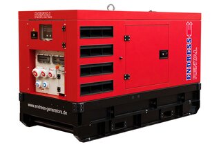 Endress ESE 20 YW/RS Stage V